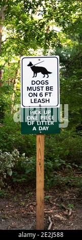 Les chiens doivent être sur six panneau de laisse dupe et ramasser un morceau de litière un panneau de jour sur un poteau dans les bois. Banque D'Images
