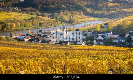 Promenez-vous dans les vignobles, la rivière Mosel, le village d'Ahn, Luxembourg Banque D'Images