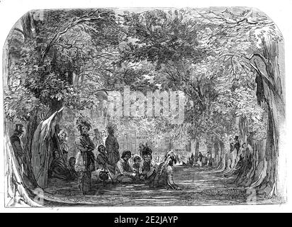 La Fête Champète à Charlton House - les Indiens d'Amérique du Nord campés dans le parc - dessiné par G. Harrison, 1845. Garden Party à Charlton House à Greenwich dans le sud-est de Londres. Parmi les attractions, il y avait '... un campement d'Indiens canadiens, avec leurs exploits et leurs danses...'. De "Illustrated London News", 1845, vol VII Banque D'Images