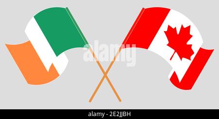 Drapeaux croisés et agités de l'Irlande et du Canada. Illustration vectorielle Illustration de Vecteur