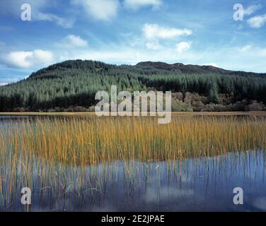 Royaume-Uni. Écosse. Highlands. Wester Ross. Kyle de Lochalsh. Paysage avec loch près de Plockton. Banque D'Images
