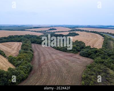 Drone vue aérienne de la belle ferme cultivée avec du soja dans la zone rurale de l'état de Paraná, Brésil, le jour d'été de brouillard. Concept d'agriculture. Banque D'Images