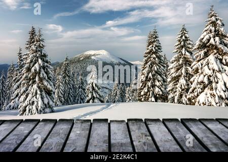 Paysage d'hiver fantastique avec des arbres enneigés et une terrasse en bois. Carpathian montagnes, Ukraine, Europe. Concept de vacances de Noël Banque D'Images