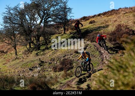 Trois hommes pédalent en VTT sur un sentier dans le parc national d'Exmoor. Banque D'Images