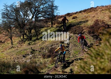 Trois hommes pédalent en VTT sur un sentier dans le parc national d'Exmoor. Banque D'Images