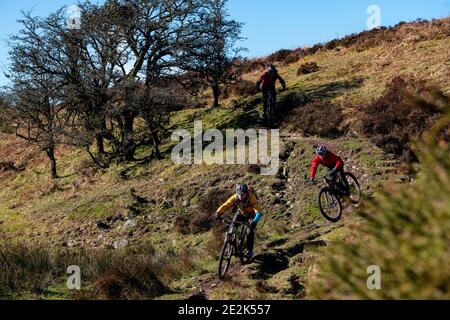 Trois hommes pédalent en VTT sur un sentier dans le parc national d'Exmoor. Banque D'Images