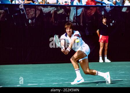 Jimmy Connors (États-Unis) en compétition aux championnats américains de tennis 1981. Banque D'Images