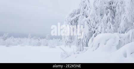 arbres en montagne paysage d'hiver couvert de neige et de gel après la chute de neige Banque D'Images