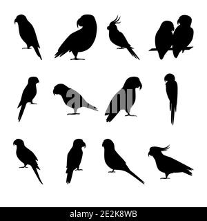 Collection d'icônes de silhouette de perroquet dans un style plat. Symboles d'oiseaux tropicaux isolés sur fond blanc. Illustration de Vecteur
