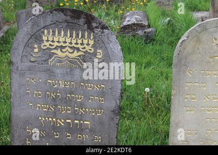 Cimetière juif historique avec pierres tombales restaurées et symboles classiques Bialystok (Pologne) Banque D'Images