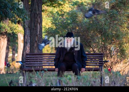 Timisoara, Roumanie - 10 octobre 2020 : homme assis sur un banc dans un parc. De vraies personnes. Pigeons en mouvement. Banque D'Images