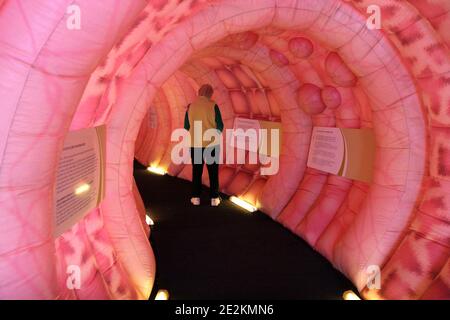 A l'initiative de l'association ' Déplage 66 ', un énorme coloniste de vingt mètres de long et trois mètres de large cinquante est installé dans le centre-ville de Perpignan à l'occasion de la quatrième campagne nationale contre le cancer colorectal. Ce voyage au centre du corps permet aux visiteurs de se renseigner sur le dépistage de cette maladie et de découvrir de façon ludique des polypes légers en trois dimensions et de suivre leur évolution dans le cancer colorectal. Au lieu de la victoire, à Perpignan, au sud de la France, le 18 mars 2011. Photo de Michel Clemmentz/Cameleon/ABACAPRESS.COM Banque D'Images