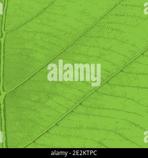 Distress Vector Texture Illustration de Vecteur