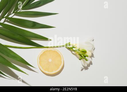 Composition tropicale d'été faite avec des feuilles de palmier vertes, des fleurs blanches et une tranche de citron sur fond blanc. Banque D'Images