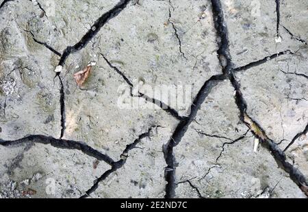 Gros plan du sol craquant et boueux dans les textures de saison sèche, chaud été. Motifs et texture sol fissuré de sol ensoleillé de terre séchée. Banque D'Images