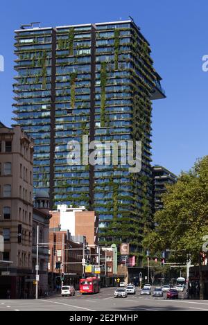 One Central Park est un bâtiment primé à usage mixte, doté d'une vue verticale Jardins suspendus situés à Ultimo Sydney Nouvelle-Galles du Sud Australie Banque D'Images