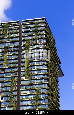 One Central Park est un bâtiment primé à usage mixte, doté d'une vue verticale Jardins suspendus situés à Ultimo Sydney Nouvelle-Galles du Sud Australie Banque D'Images