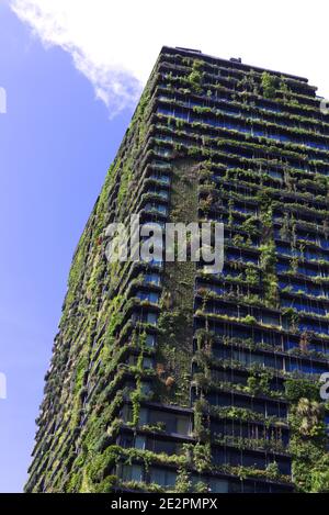 One Central Park est un bâtiment primé à usage mixte, doté d'une vue verticale Jardins suspendus situés à Ultimo Sydney Nouvelle-Galles du Sud Australie Banque D'Images