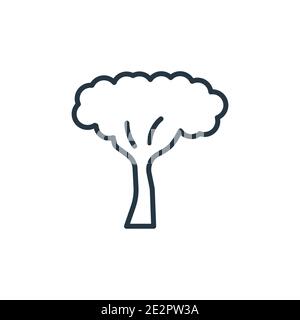 Icône de vecteur de contour de l'arbre de feuillage circulaire. Arbre noir à fines lignes de l'icône de feuillage circulaire, illustration d'élément simple à vecteur plat de l'ECO modifiable Illustration de Vecteur