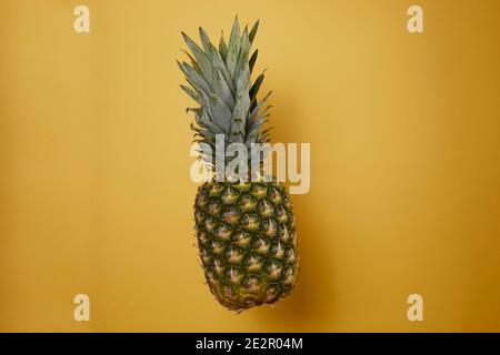 Une ananas frais et biologique devant un jaune Arrière-plan avec une ombre molle Banque D'Images