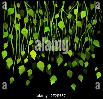 Toile de fond de la saison des vecteurs avec branches d'arbre, feuilles vertes, branches décoratives de bouleau. Illustration vectorielle Illustration de Vecteur