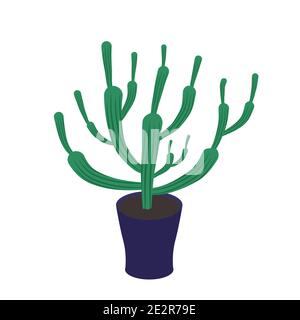 Cactus dans la maison pot vecteur illustration eps. 10 Illustration de Vecteur