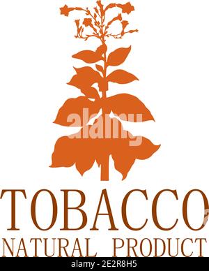 Logo vectoriel pour produits du tabac naturel, produits Illustration de Vecteur