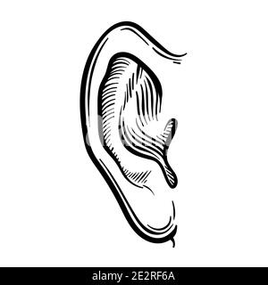 Symbole d'esquisse d'oreille dessiné à la main. Elément d'écoute vectoriel en style doodle, isolé sur blanc Illustration de Vecteur