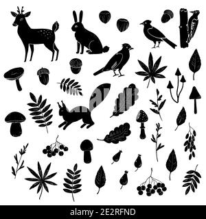 Grand ensemble de silhouettes noires et blanches d'animaux forestiers, d'oiseaux, de champignons et de baies. Illustration de Vecteur