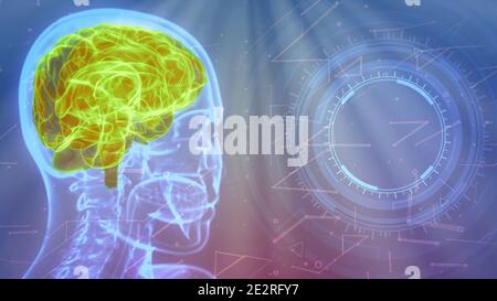 image de la tête humaine à rayons x avec cerveau en surbrillance et espace vide Sur la droite pour votre image - Digital Medical 3D illustration Banque D'Images