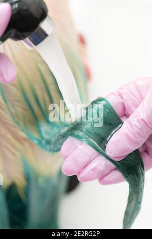 Le coiffeur tient le verrou des cheveux verts dans la main tout en lavant les cheveux du client dans la douche dans l'évier. Salon de beauté, salon de coiffure professionnel Banque D'Images