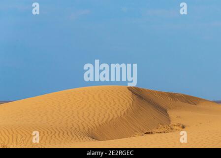 Immenses dunes du désert. Belles structures de barkhan ou de dunes de sable. Vagues par le vent sur la surface de sable. Banque D'Images