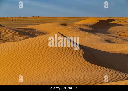 Immenses dunes du désert. Belles structures de barkhan ou de dunes de sable. Vagues par le vent sur la surface de sable. Banque D'Images