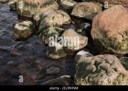 Des pierres humides de granit avec alga se trouvent dans une eau peu profonde, sur la côte du golfe de Finlande, en Russie Banque D'Images