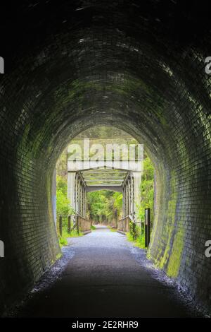 La vue de l'intérieur d'un vieux tunnel ferroviaire en briques sombres, donnant sur un pont et une forêt. Gorge de Karangahake, Nouvelle-Zélande Banque D'Images