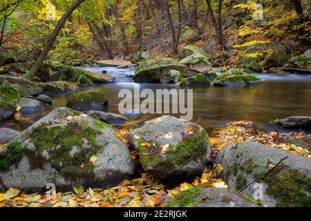 Flusslandschaft die Bode im Harz Banque D'Images