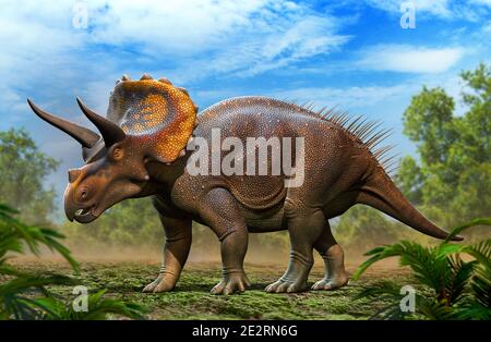 Le Triceratops horridus Banque D'Images