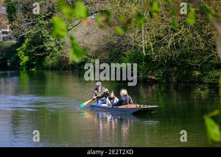 Oxford, Royaume-Uni. Aviron sur la rivière Cherwell en été. Banque D'Images