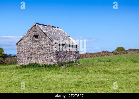 Une grange en pierre s'est abattue dans un champ de pâturage d'été sur l'île de Caldey, sur la côte de Tenby Pembrokeshire, au sud du pays de Galles, photo Banque D'Images