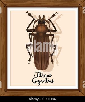 TITANUS giganteus sur l'illustration du cadre en bois Illustration de Vecteur