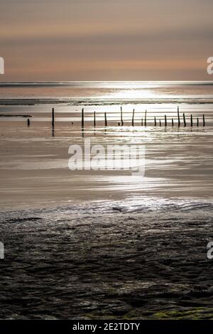 Vieux stakenets sur le Solway. Réserve RSPB, Dumfries et Galloway Banque D'Images