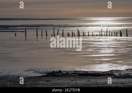 Vieux stakenets sur le Solway. Réserve RSPB, Dumfries et Galloway Banque D'Images