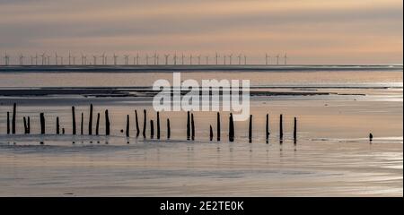 Vieux stakenets sur le Solway. Réserve RSPB, Dumfries et Galloway Banque D'Images