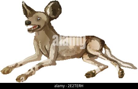 Chien sauvage africain en position de pose sur fond blanc illustration Illustration de Vecteur