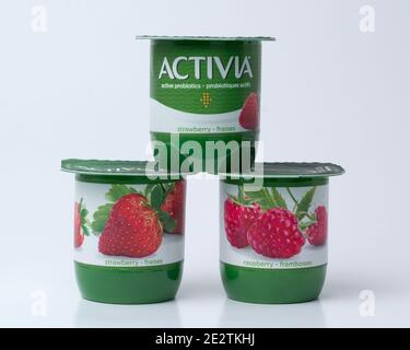 Pleasant Valley, Canada - 14 janvier 2021 : pots de yogourt Activia sur fond neutre. Activia est une marque de yoghourt appartenant au Groupe Danon corporat Banque D'Images