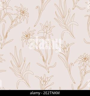 Edelweiss. Motif sans couture avec fleurs edelweiss sur fond rose. Illustration de Vecteur