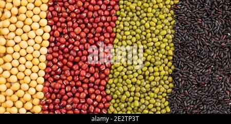 Vue de dessus de différentes variétés de céréales et de céréales en position verticale lignes Banque D'Images