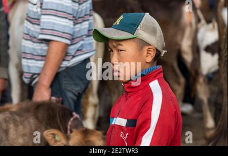 Karakol, Kirghizistan - 14 juillet 2019 : garçon au marché du bétail avec des vaches et de nombreuses personnes et agriculteurs dans la ville de Karakol au Kirghizistan. Banque D'Images