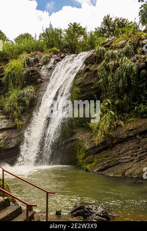 Plongeurs de falaise à la chute d'eau de Concord à la Grenade Banque D'Images