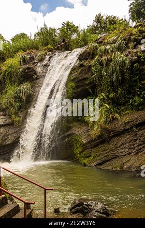 Plongeurs de falaise à la chute d'eau de Concord à la Grenade Banque D'Images